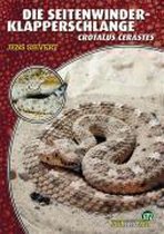 Die Seitenwinder-Klapperschlange - Crotalus Cerastes