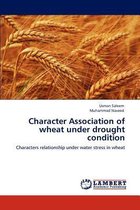 Character Association of Wheat Under Drought Condition