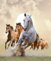 Diamond Painting pakket volwassenen | Wilde paarden - 90 x 75 cm | Volledige bedekking met vierkante steentjes | FULL | DP Diamond Paintings