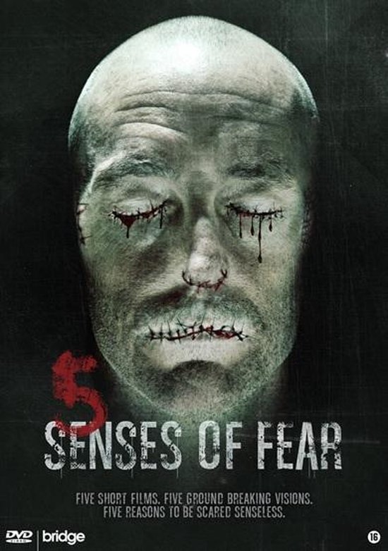 Cover van de film '5 Senses Of Fear'