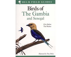 Birds Of The Gambia And Senegal