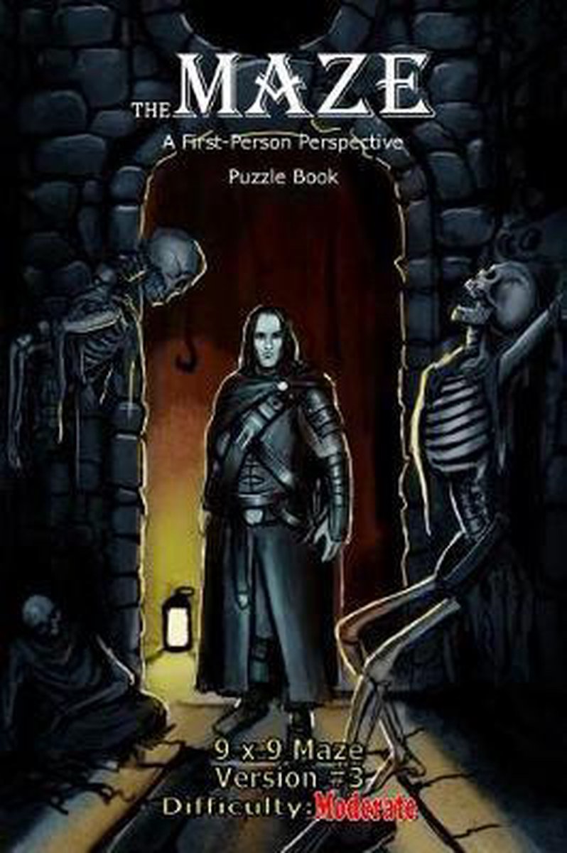 The Maze: A First-person Perspective Puzzle Book-the Maze van Brad Hough