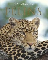 Les Grands Felins