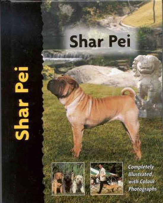 Shar-pei
