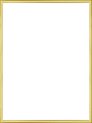 Homedecoration Almelo – Fotokader – Fotomaat – 50 x 52 cm – Goud Glans