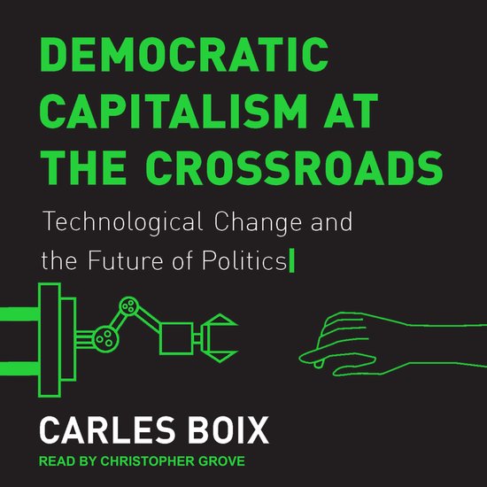 Democratic Capitalism at the Crossroads - cover