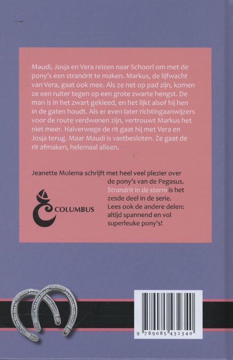 De pony's van de Pegasus 6 - Strandrit in de storm - back cover