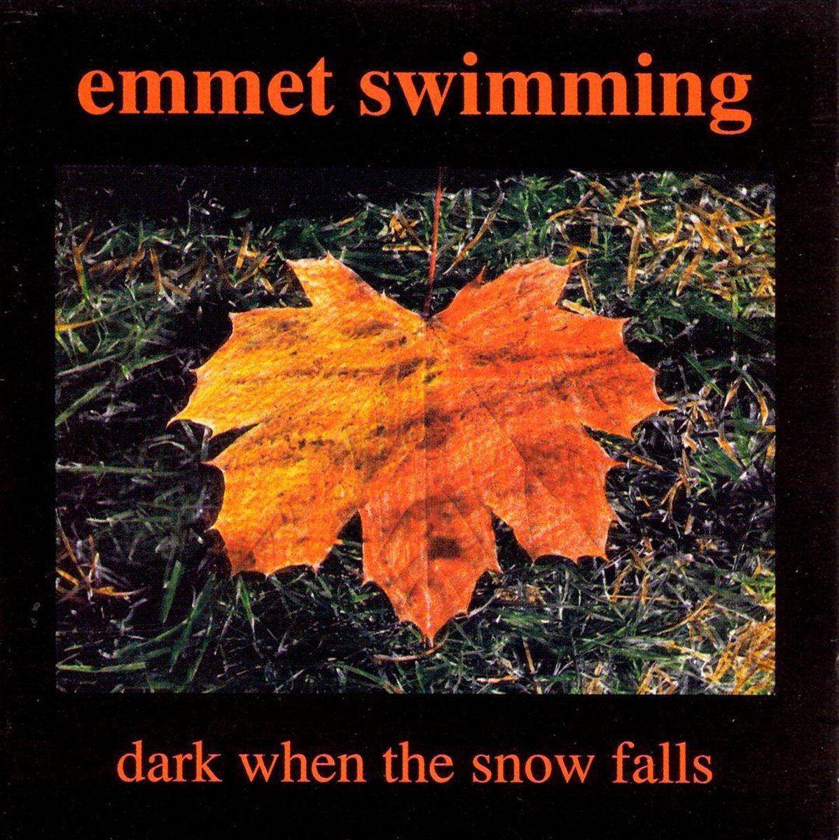 Dark When the Snow Falls