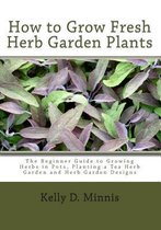 How to Grow Fresh Herb Garden Plants