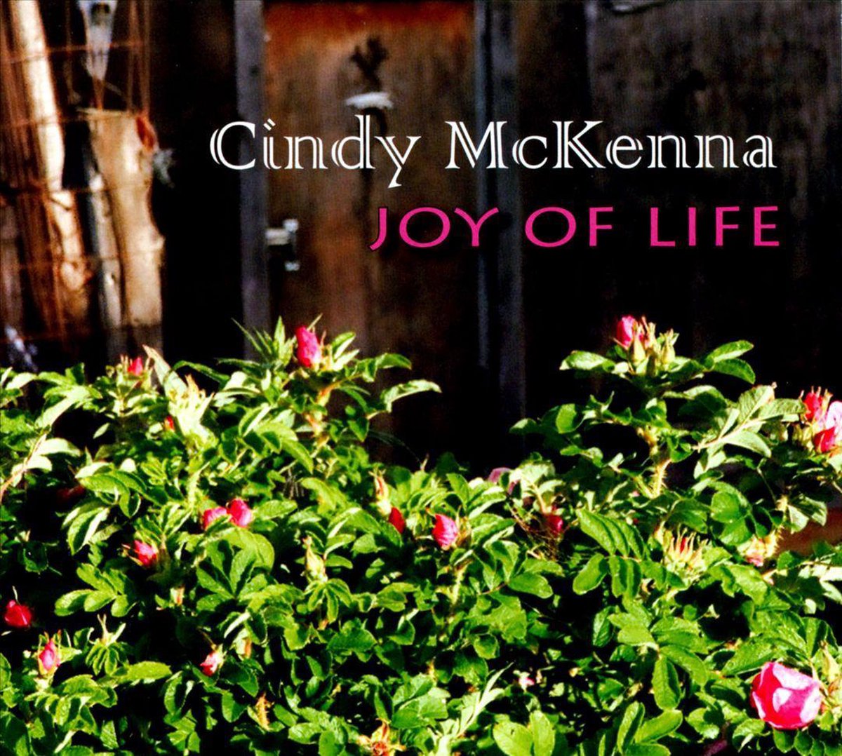 Afbeelding van product Joy of Life  - Cindy McKenna