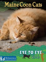 Eye to Eye with Cats - Maine Coon Cats