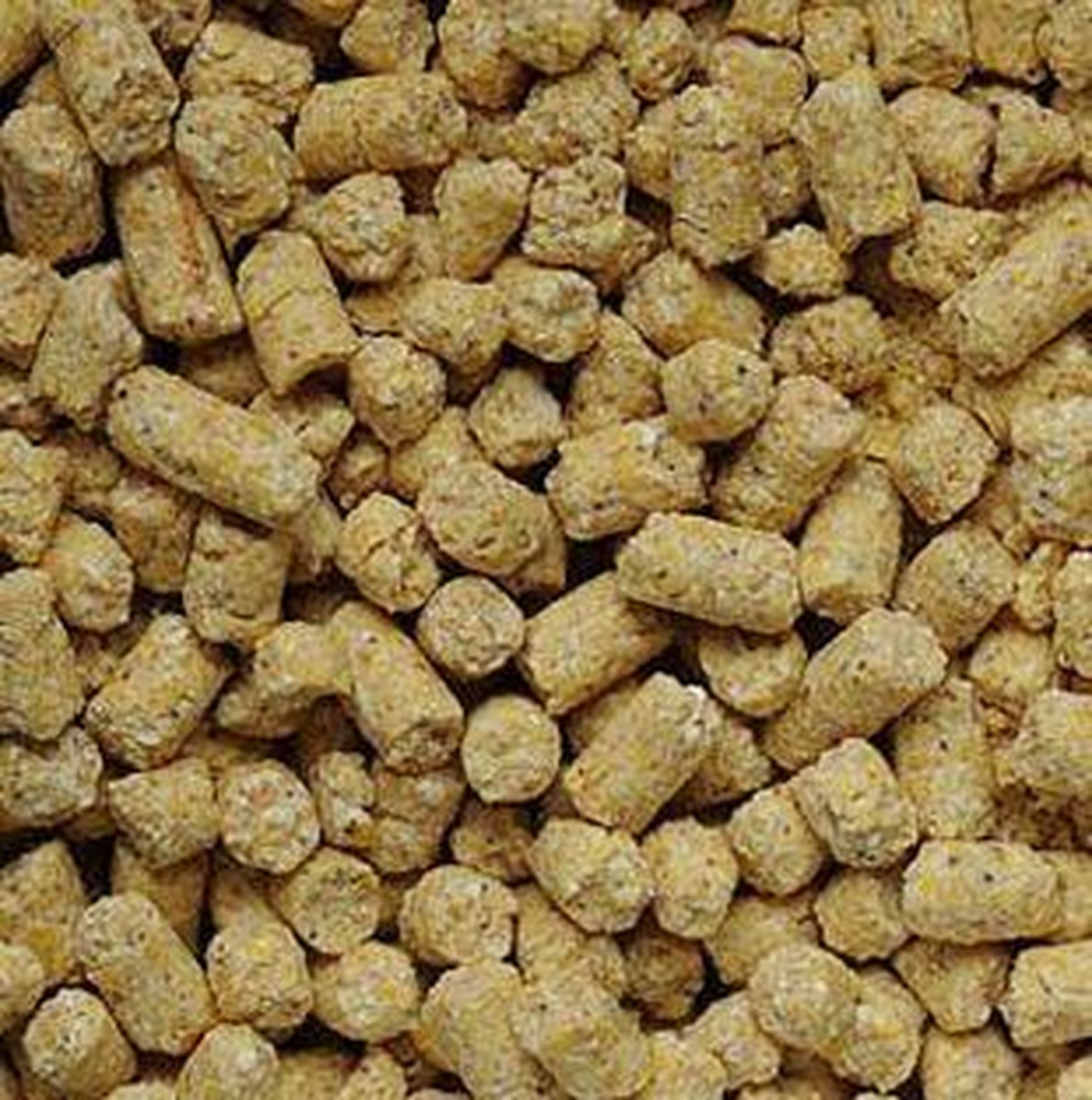 Babycorn pellets (ontsloten mais brok) 20kg - Grevers Voeders