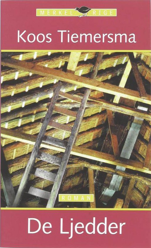 Cover van het boek 'De Ljedder' van  Tiemersma