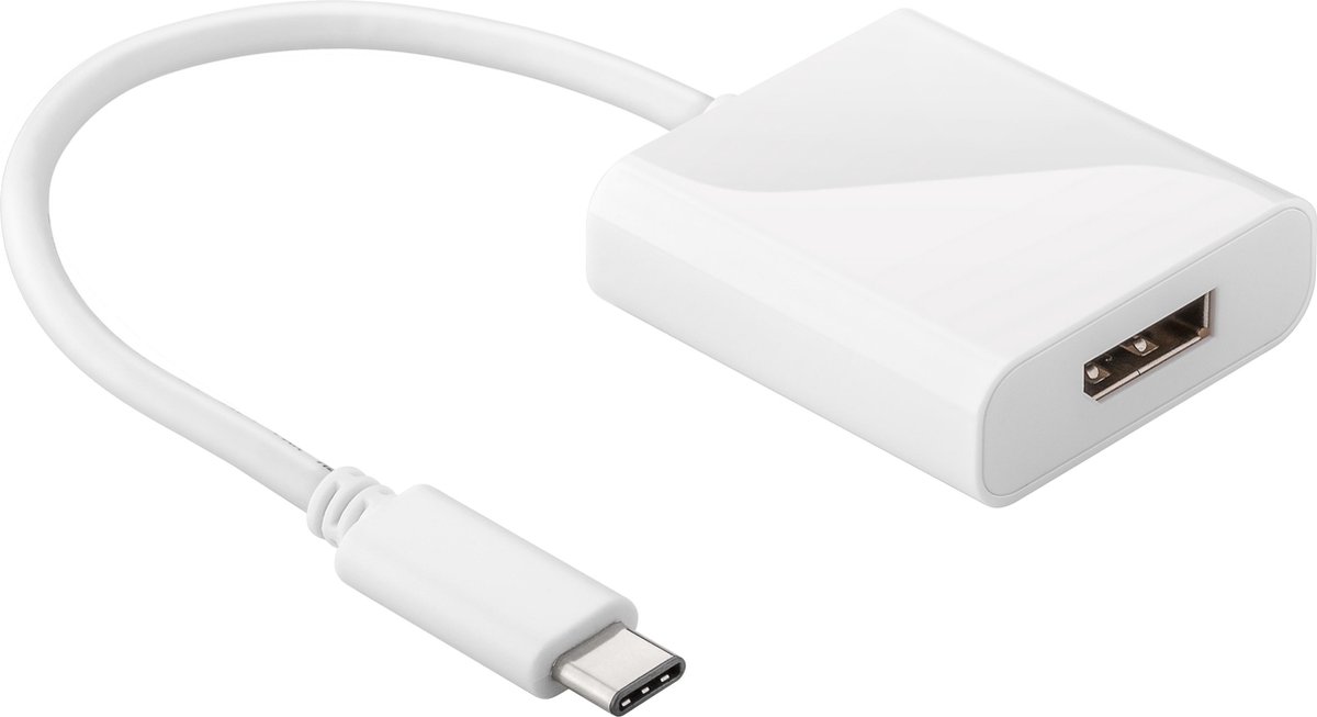 USB-C naar DisplayPort adapter met DP Alt Mode (4K 60 Hz) / wit - 0,15 meter