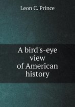 A bird's-eye view of American history
