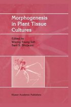 Morphogenesis in Plant Tissue Cultures