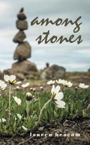 Among Stones