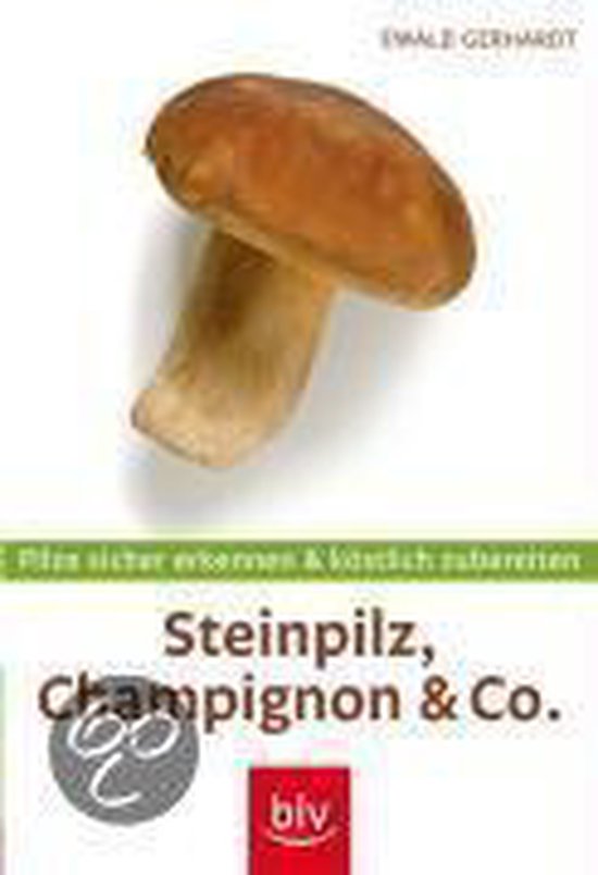 Steinpilz, Champignon & Co. - Mit Messer