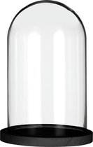 Glazen Stolp met Hout - Zwart - Glas - Ø17 x H25cm