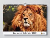 Leeuwen kalender 2023 | 35x24 cm | jaarkalender 2023 | Wandkalender 2023