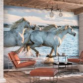 Zelfklevend fotobehang - Race van Wilde paarden, Schimmels, Premium print