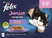 Felix Elke Dag Feest in Gelei Junior Mix Selectie- Kattenvoer natvoer - Tonijn, Zalm, Rund, Kip - 48 x 85g