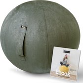 Fruscle® 65 cm Zitbal - Ergonomische bureaustoel - Thuiskantoor zitzak - Rugpijn - met Ebook