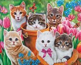 diamond painting katten 50x40 cm