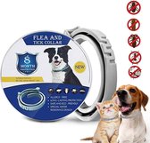 Tekenband - Anti-vlo - Teekmiddel - Teken - Hond - Vlooienband - Vlooienband Hond - Vlooien - Diervriendelijk - Natuurlijk Product - 8 Maanden Bescherming - Grijs - 62,5cm