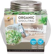 Buzzy® Organic Spruitgroente Daikon in glazen pot