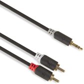 Jack naar tulp kabel 3.5 mm – Universeel - 3,5 mm jack naar 2x RCA Male - Zwart - 1 meter - Allteq