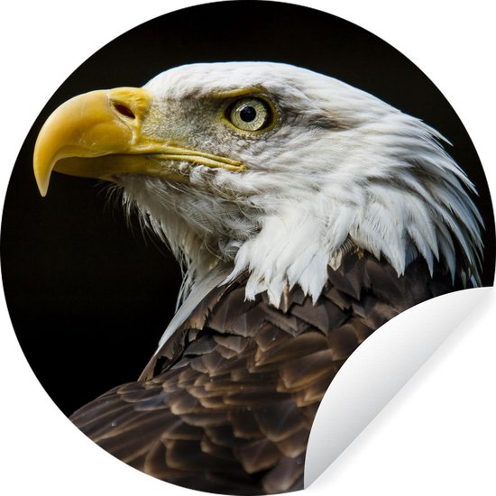 Sticker Mural 3D Amovible Aigle - Décor Peinture Murale Autocollant - Modèle H443