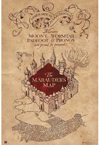 Grupo Erik Harry Potter The Marauders Map Poster - 61x91,5cm
