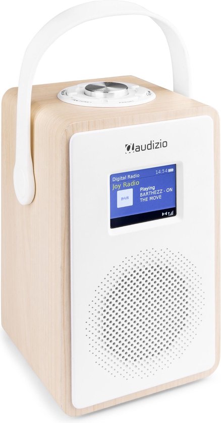 DAB radio + Bluetooth speaker - Audizio Modena - Ingebouwde accu + Bluetooth  5.0 - Wit | bol.com