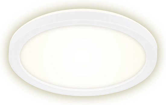 Briloner Verlichting - LED-paneel, LED-plafondlamp, plafondlamp 22 Watt