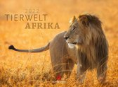 Tierwelt Afrika 2022