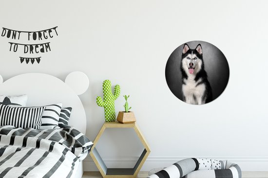 WallCircle - Cercle Mural - Cercle Mural - Husky Sibérien - Aluminium - Dibond - 30x30 cm - Intérieur et Extérieur