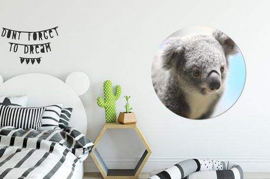 WallCircle - Cercle Mural - Cercle Mural - Koala - Portrait - Animal - Enfants - Garçons - Meiden - Aluminium - Dibond - 90x90 cm - Intérieur et Extérieur