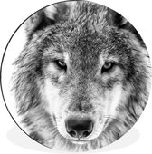 WallCircle - Wandcirkel - Muurcirkel - Wolf in de winter in zwart-wit - Aluminium - Dibond - ⌀ 30 cm - Binnen en Buiten