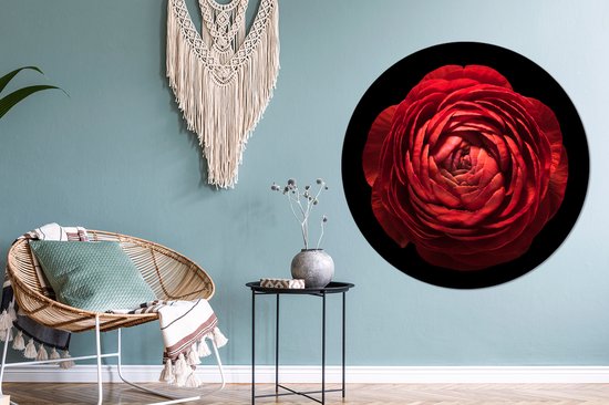 WallCircle - Wall Circle - Wall Circle - Un renoncule rouge gros plan sur fond noir - Aluminium - Dibond - 120x120 cm - Intérieur et Extérieur XXL