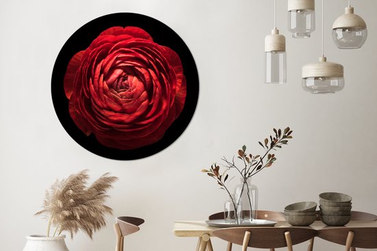 WallCircle - Wall Circle - Wall Circle - Un renoncule rouge gros plan sur fond noir - Aluminium - Dibond - 120x120 cm - Intérieur et Extérieur XXL