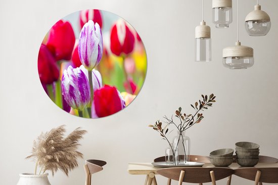 WallCircle - Wall Circle - Wall Circle Indoor - Gros plan de tulipes colorées - 140x140 cm - Décoration murale - Peintures ronds