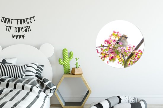 WallCircle - Stickers muraux - Cercle de Papier Peint - Vogel parmi les Fleurs Roses - 80x80 cm - Cercle Mural - Auto Adhésif - Autocollant Rond de Papier Peint