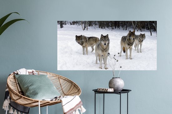Stickers Stickers muraux - Loup - Neige - Canada - 80x40 cm - Feuille adhésive