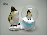 Sneeuwbol Pinguïn