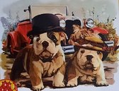 Peinture Diamond chien bouledogue américain 40 x 50 cm pleine impression pierres rondes immédiatement disponible - bull dog - chiens - classique - oldtimer - chien - chiens