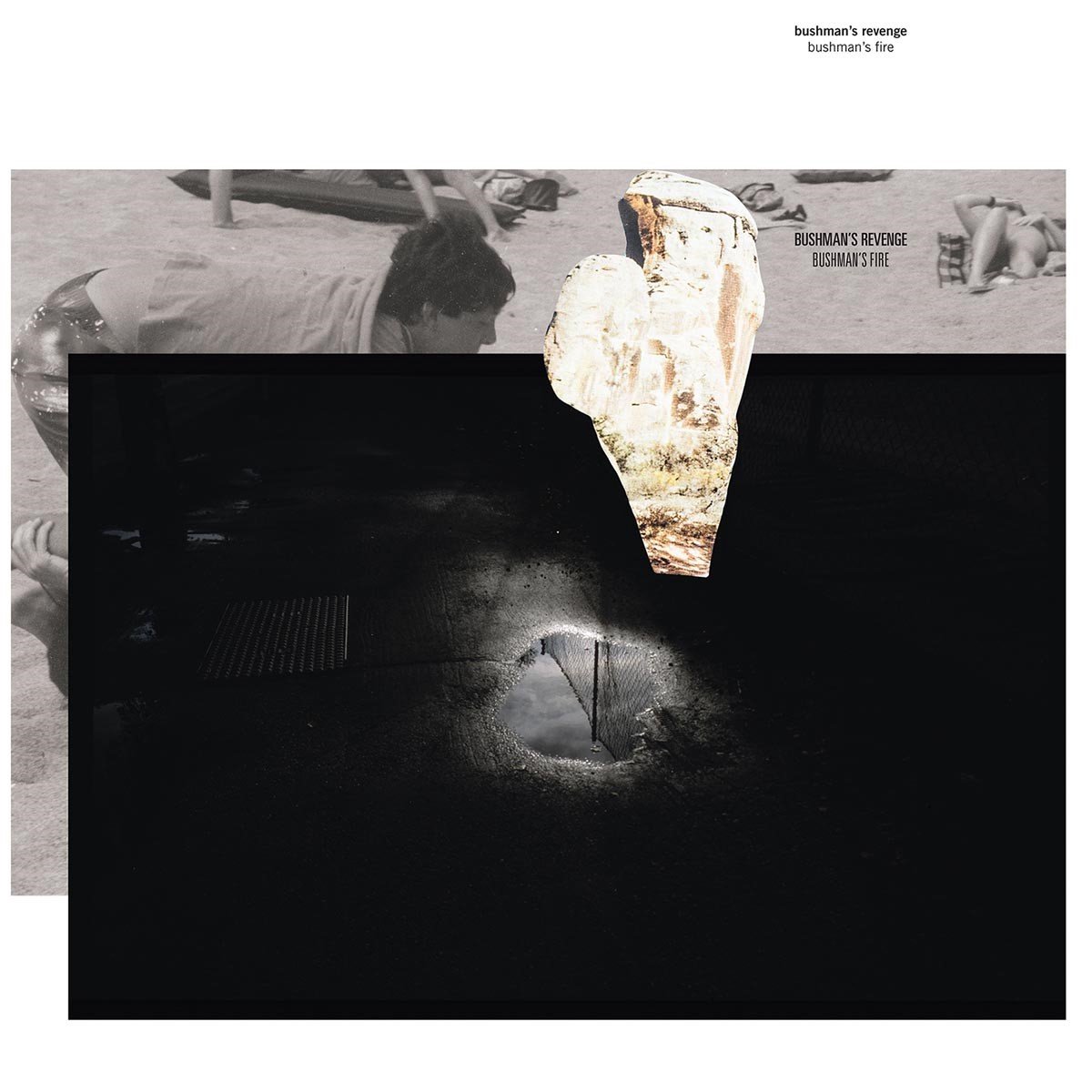 Bushman's Revenge - Bushman's Fire (LP)