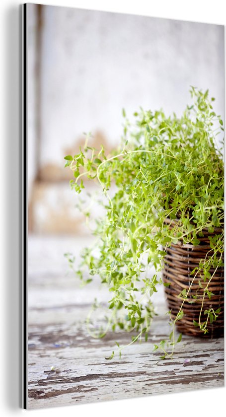 Wanties Rieten wandschalen - Set van 3 rotan wanddecoratie voor de muur