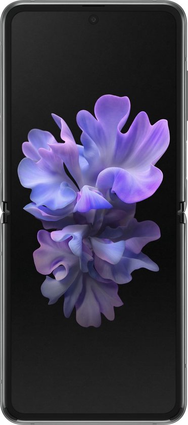 Samsung Galaxy Z Flip 5G - 256GB - Grijs