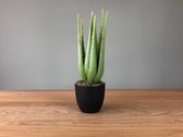 Colmore Kunstplant Aloe Vera 38 cm